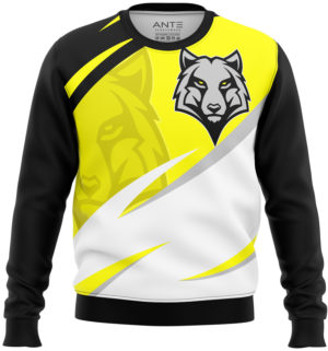 Bluza Męska Sportowa z Nadrukiem